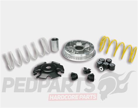 Malossi Variator Kit Piaggio Vespa 125cc 3 Valve Pedparts UK