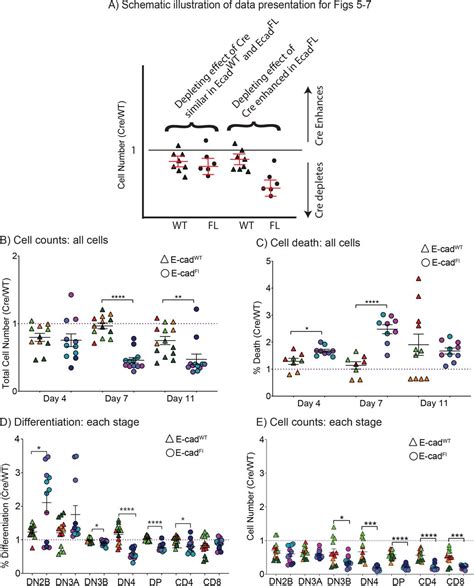 Op9 Dl1 Stromal Cells Thermo Fisher Bioz