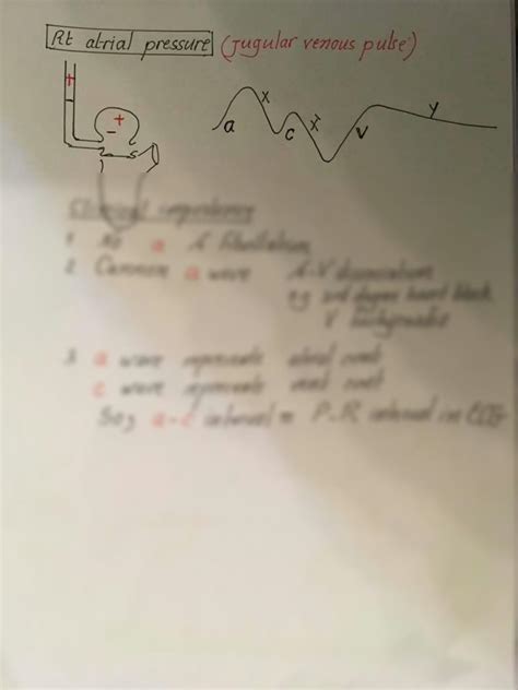 Solution Cvs Part Dr Nagi Diagrams Studypool