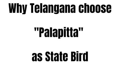 Telangana State Bird Palapitta | FDAYTALK