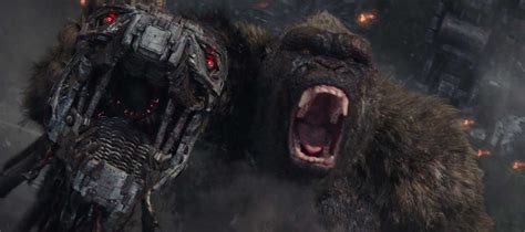 Why Kong Is the Hero of Godzilla vs. Kong