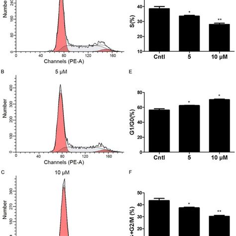 The Effect Of DHA On Cell Cycle Progression In MCs The Percentage Of