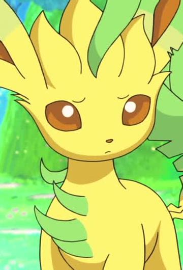 Leafeon | Anime-Planet