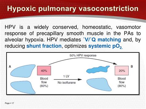 Ppt Monitoring During Thoracic Anesthesia Powerpoint Presentation