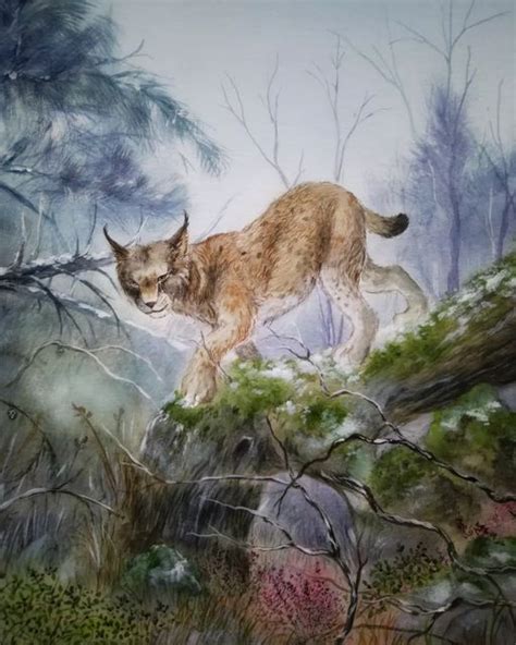 Lisa Landwehr On Instagram Auf Leisen Pfoten Schleicht Sich Der Luchs