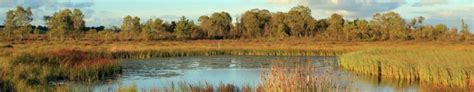 How bogs form – Clara Bog Nature Reserve