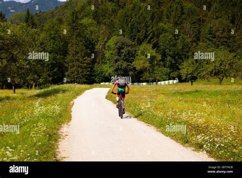 Mountain Bike cyclist riding countryside track in Bohinj, Slovenia