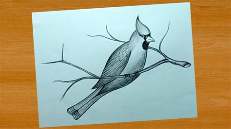 Simple Pencil Drawing Ideas Bird Drawing And Shading YouTube