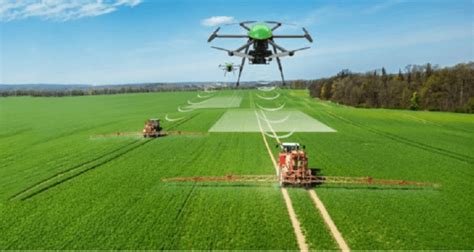 Latest R D And Technology Increasing Higher Paddy Yields BusinessToday