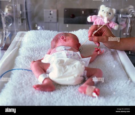 Premature Baby Incubator Hi Res Stock Photography And Images Alamy