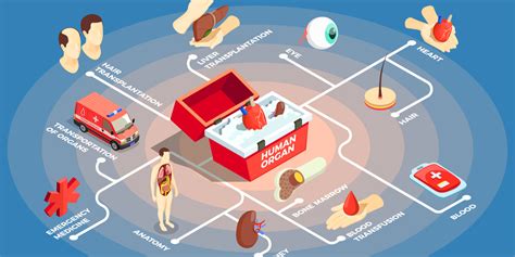 Global Organ Transplant Immunosuppressants Market $2.1 Billion by 2031