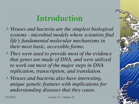 Ppt The Genetics Of Viruses And Bacteria Powerpoint Presentation