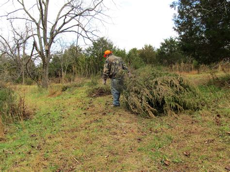 Food Plot Strategies That Attract Mature Bucks Mossy Oak Gamekeeper