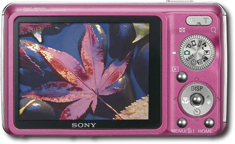 Best Buy Sony Cyber Shot Megapixel Digital Camera Pink Dsc W P