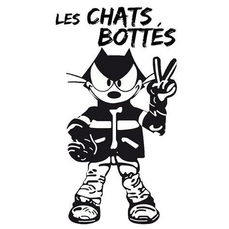 Les Chats BOTTES YouTube