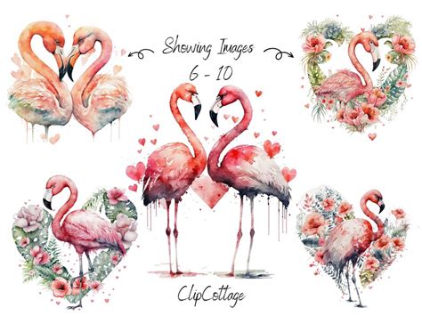 Valentines Flamingos Clipart Png Sublimation Bundle Etsy