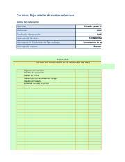 Rodriguez Ricardo EFBásicos xlsx Formato Hoja tabular de cuatro