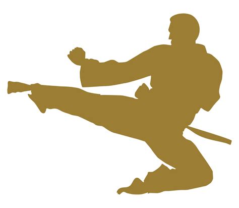 silhouette di marziale artista calcio taekwondo karatè pencak sila