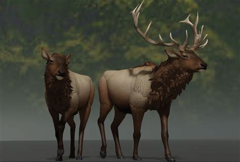 Tule Elk Cenozoic Survival Wiki Fandom