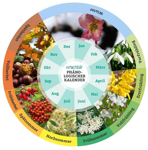 Der Phänologische Kalender – ein praktischer Gartenkalender | Garden