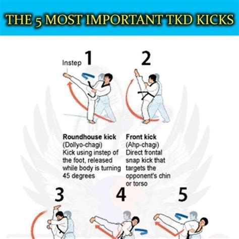 Taekwondo Kicks by Karlene M. - Exercise How-to - Skimble