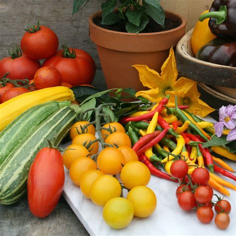 vegetable seeds seeds dt brown page