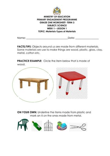 Freeprintable science worksheet for grade 1 Archives - LearningProdigy ...