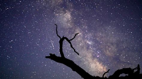 Dazzling Photos Of The Perseid Meteor Shower