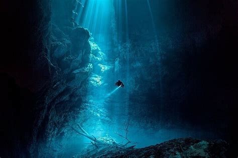 Scuba Diving In Cenotes Of Tulum Discover Breathtaking Underwater