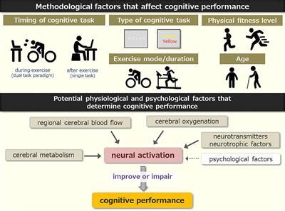 Frontiers The Effects Of Acute High Intensity Aerobic Exercise On