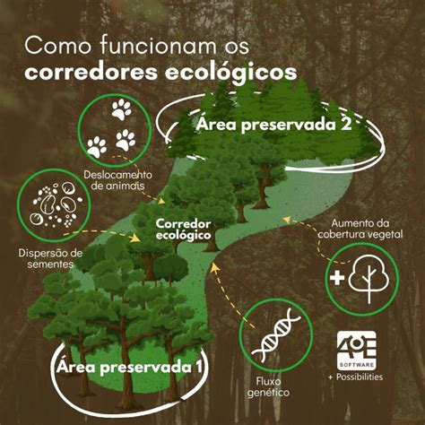 O Que Corredores Ecologicos Librain