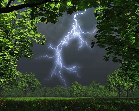 Bei Einem Gewitter Nicht Unter Dem Baum Schutz Suchen Schmunzeln Net