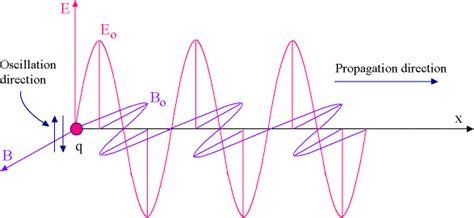 Electromagnetism In What Direction Does An Oscillating Charge Radiate