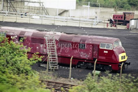 The Transport Treasury Class 41 42 43 Warship TDUK1975 118 UK BR