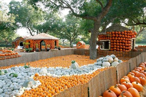 Don't Miss 28 Of The Best Pumpkin Patches Near Me