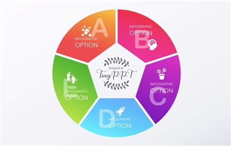 Pie Circle Chart Infographic Process