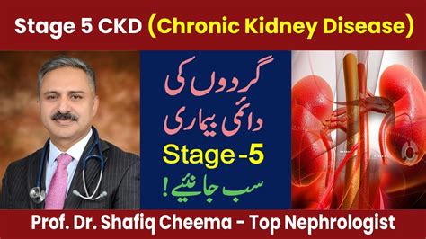 Stage 5 CKD - Chronic Kidney Disease | Complications & planning by Top ...