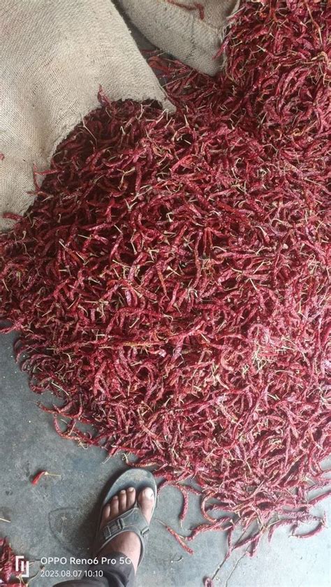 Syngenta Byadgi Red Chilli Packet Packaging Size Kg At Rs Kg