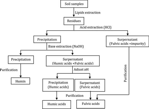 Humic Acids And Fulvic Acids Characteristics Sorption Of Hydrophobic