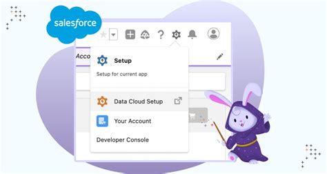 A Guide To Setting Up Salesforce Data Cloud For Seamless Customer Insights