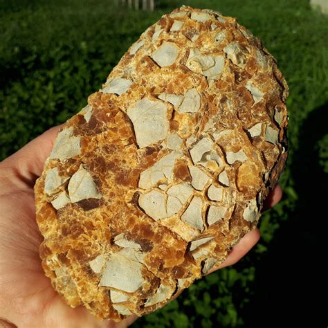 155x98x70mmwhole Septarian Noduledragon Stoneauthentic Etsy Orange