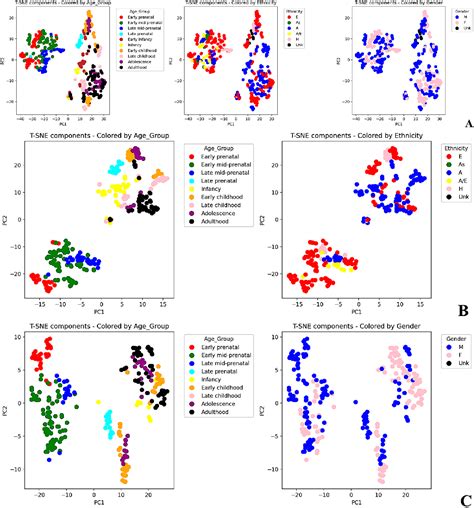 Figure From A Survey On The Expression Of The Ubiquitin Proteasome