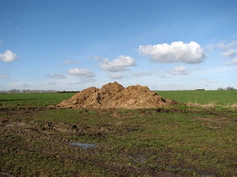 Muck Heap In Field Evelyn Simak Cc By Sa 2 0 Geograph Britain And