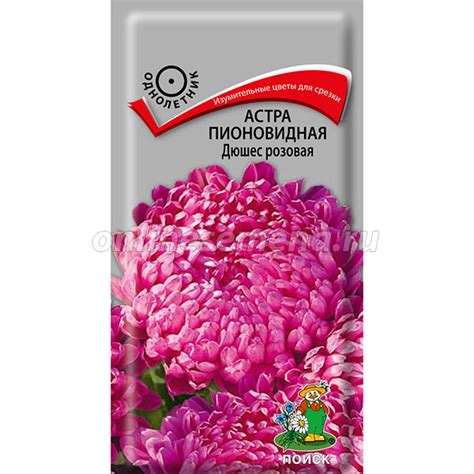 Астра пионовидная Дюшес розовая из каталога Семена цветов – купить с ...