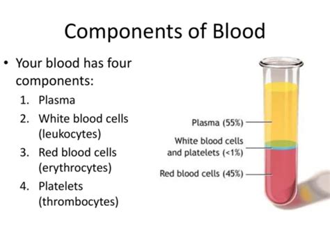 Physiology Ch Blood System Class Notes Part A Components Of