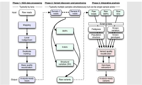 The 1000 Genomes Project variation analysis pipeline [1000GFRAME ...