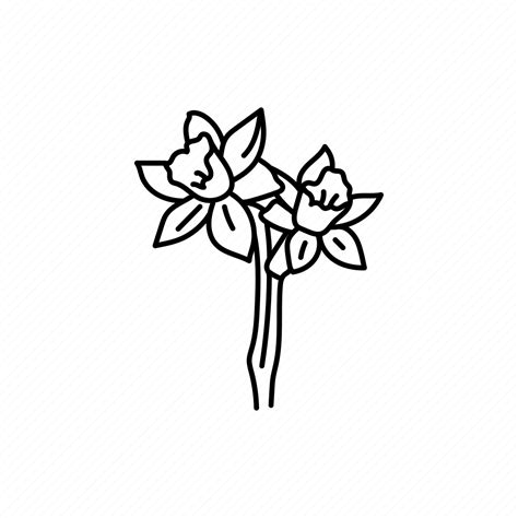 Narcissus, flower icon - Download on Iconfinder