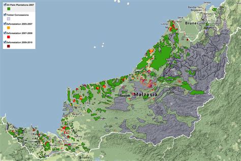 New forest map for Sarawak reveals large-scale deforestation ...