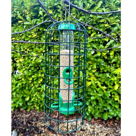 Squirrel Proof Feeder Cage from £12.99 | GardenBird