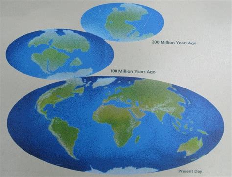 Earth Continents 65 Million Years Ago